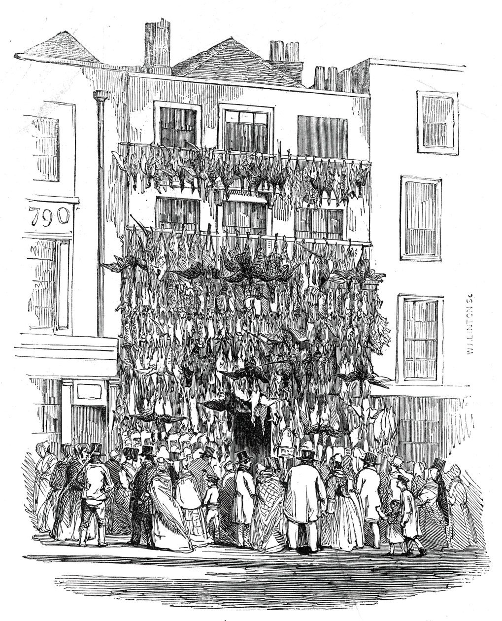 霍尔本-希尔（Holborn-Hill）的普利特（Poulterer）商店，1845年。 作者 WJ林顿