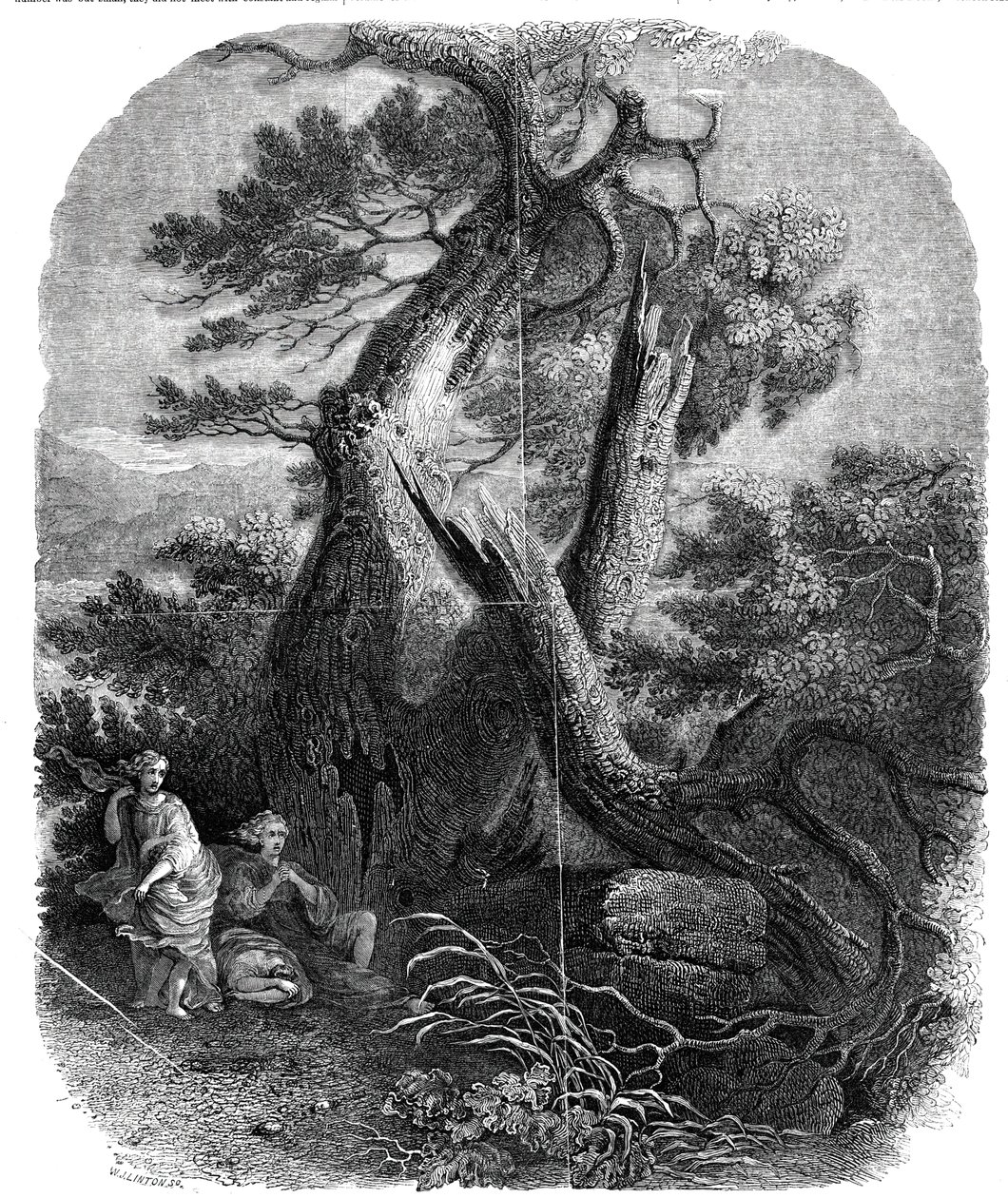 木版画标本，《尼奥比的孩子们之死》，......1844年。 作者 WJ林顿