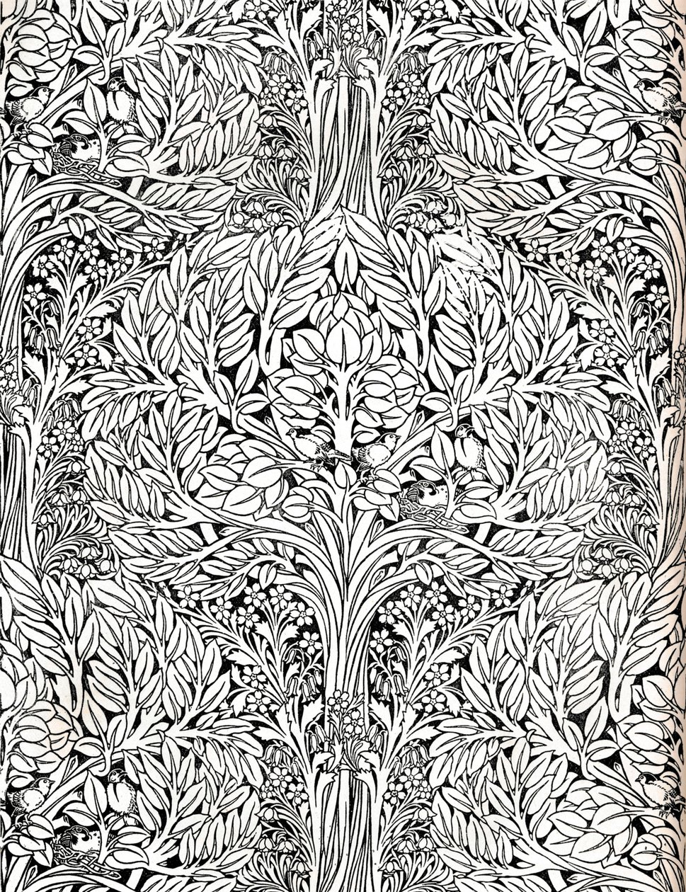 墙纸，用蒸馏水颜色印刷。由H.威尔逊设计"，1893年 作者 杰克逊