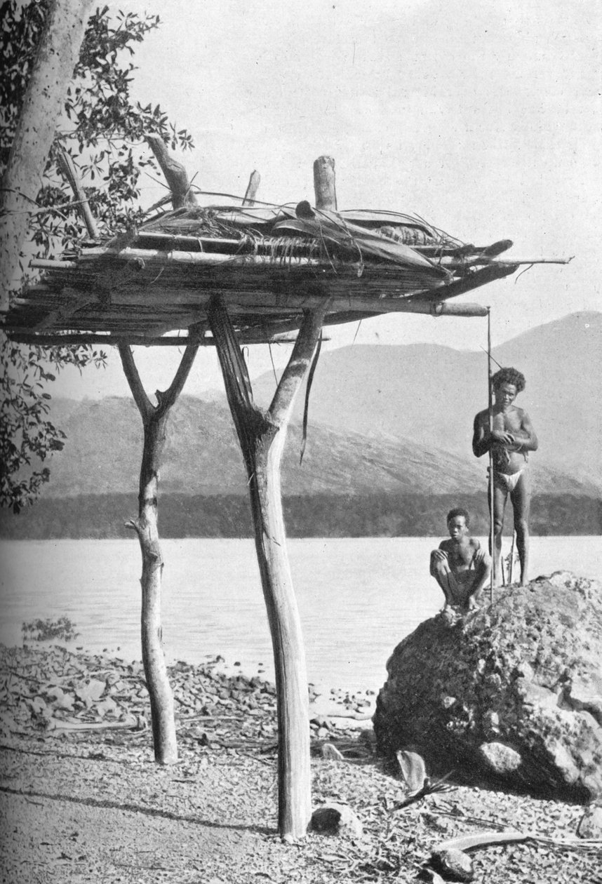 1902年在新几内亚的太平间平台 作者 林德