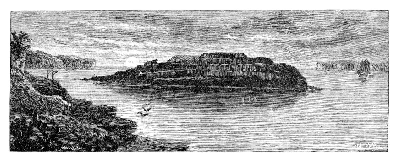1886年，澳大利亚新南威尔士州，植物园，裸岛。 作者 麦克劳德