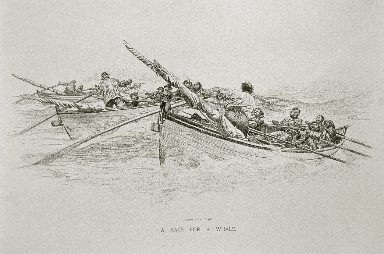 A Race for a Whale", for 