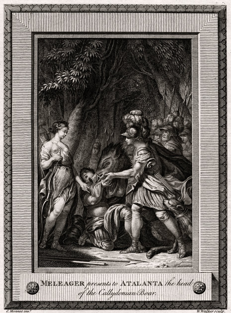 梅勒格（Meleager）向阿塔兰塔（Atalanta）赠送了加里多尼亚野猪的头，1774年 作者 沃克