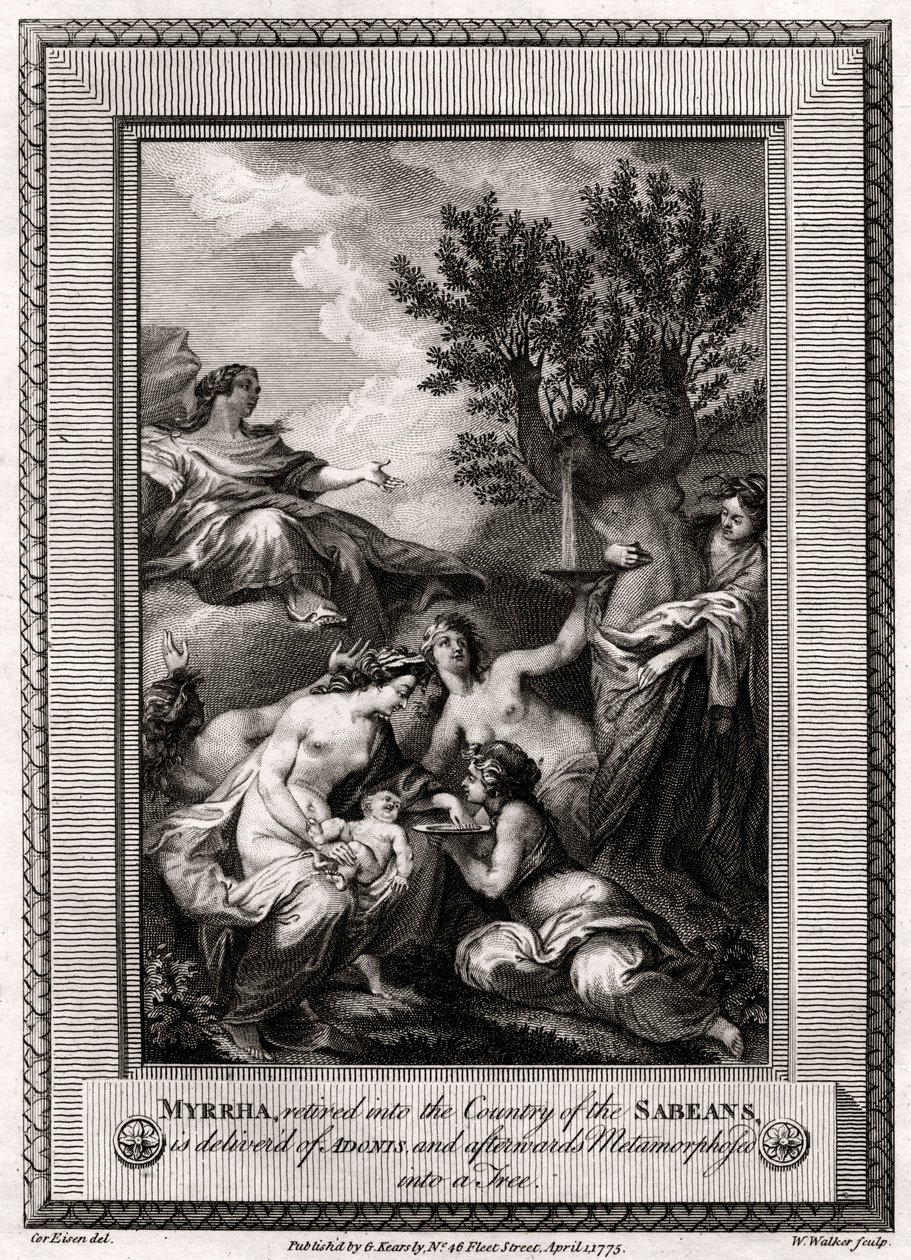 没药，被退回了大豆国家，交付了Adonis ...，1775年 作者 沃克