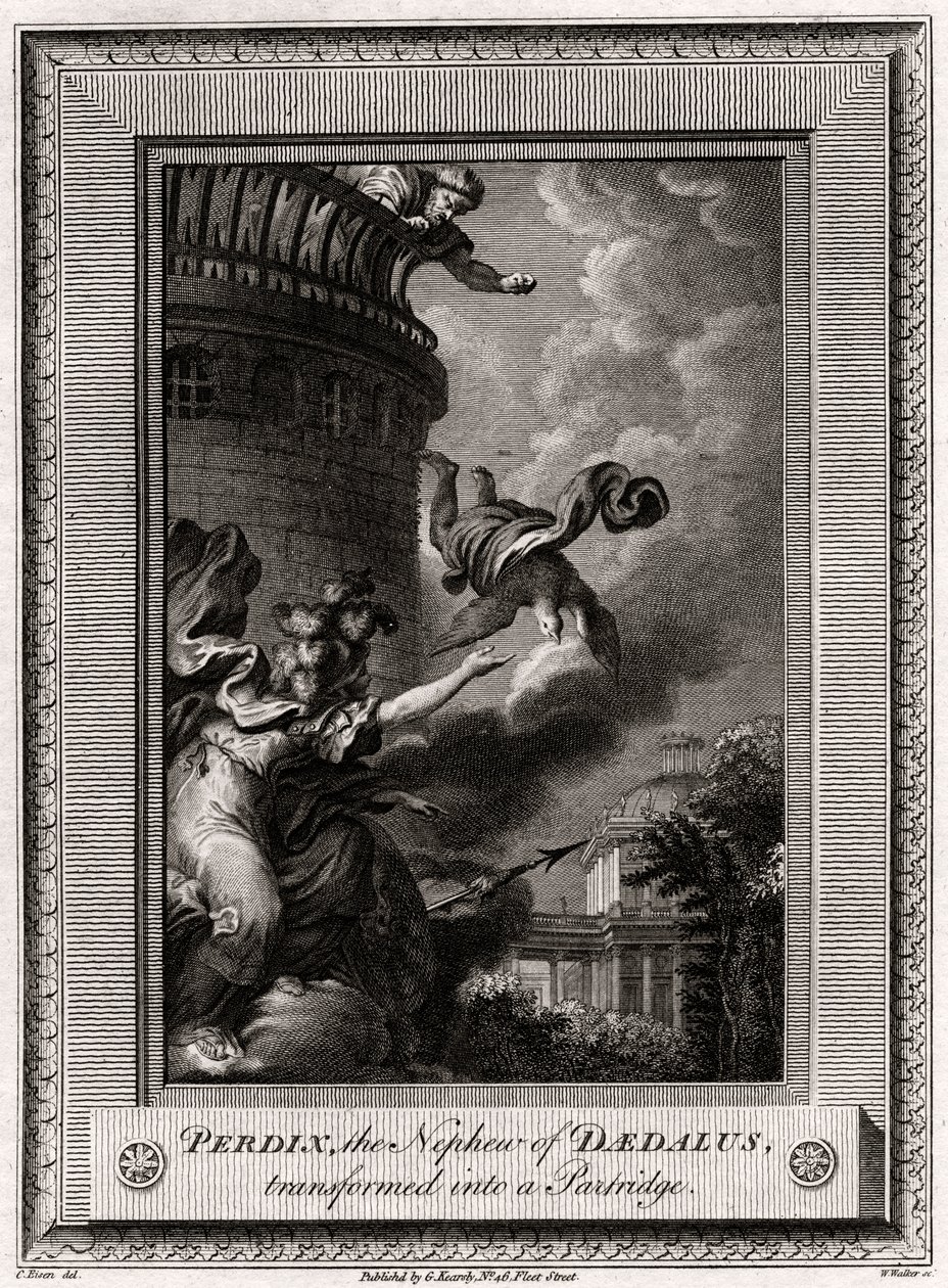 Peredix，Daedalus的外transformed，变成了Part，1774年 作者 沃克