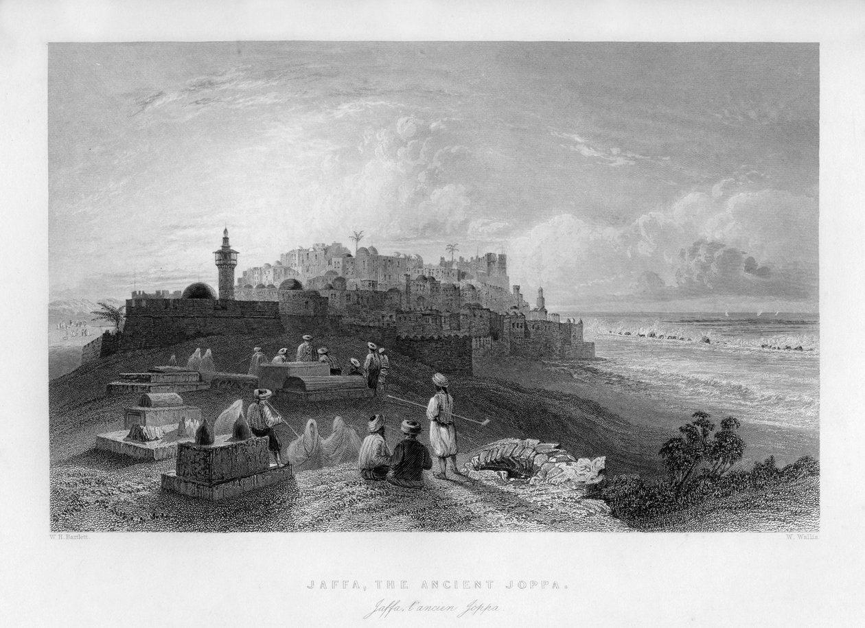 雅法（Jaffa），古代约帕（Joppa），巴勒斯坦以色列，1841年。 作者 瓦利斯