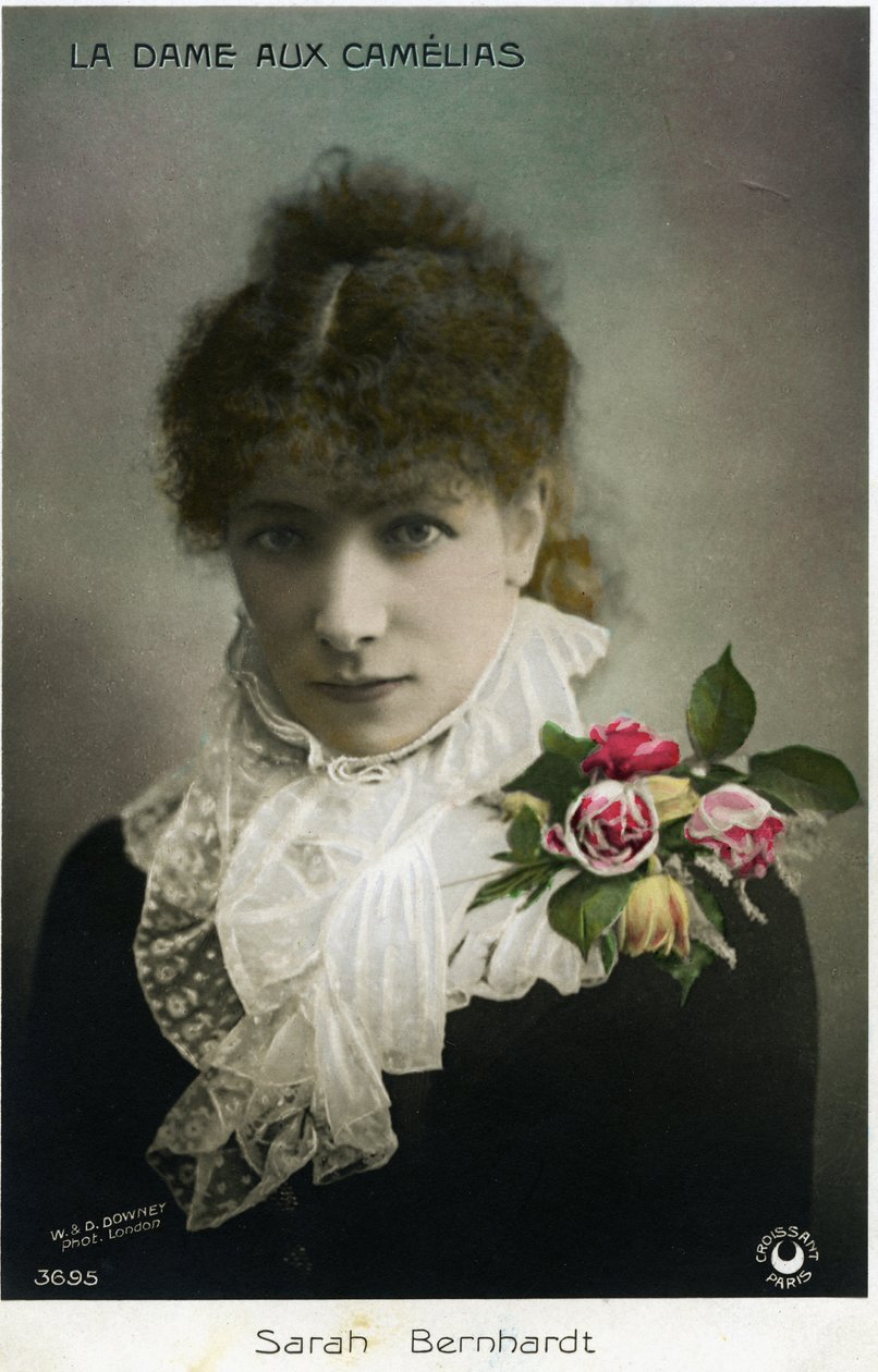 Henriette Rosine Bernard又名Sarah Bernhardt(1844-1923)扮演小仲马的 "茶花女"(照片) 作者 W.和D.唐尼