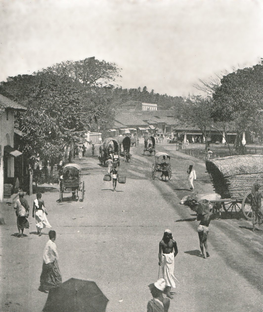锡兰可伦坡市政厅附近的街景，1895年。 作者 W和S有限公司