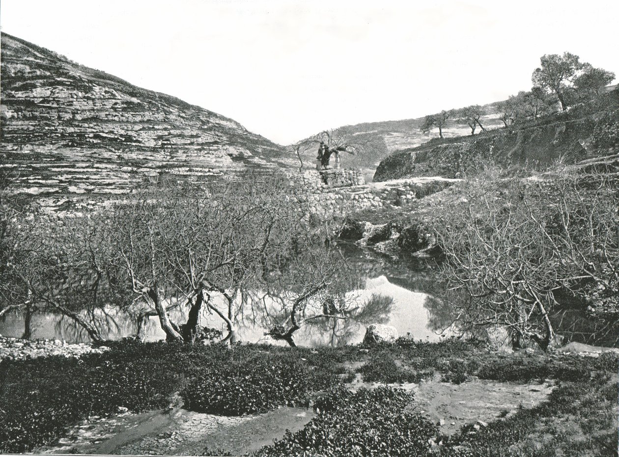 西洛阿姆水池，耶路撒冷，巴勒斯坦，1895年。 作者 W和S有限公司