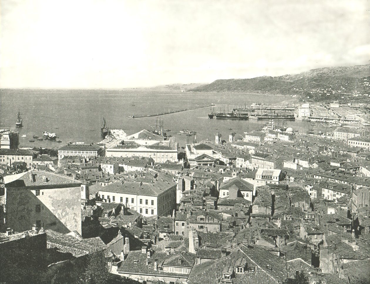 镇和海港，意大利的里雅斯特，1895年。 作者 W和S有限公司