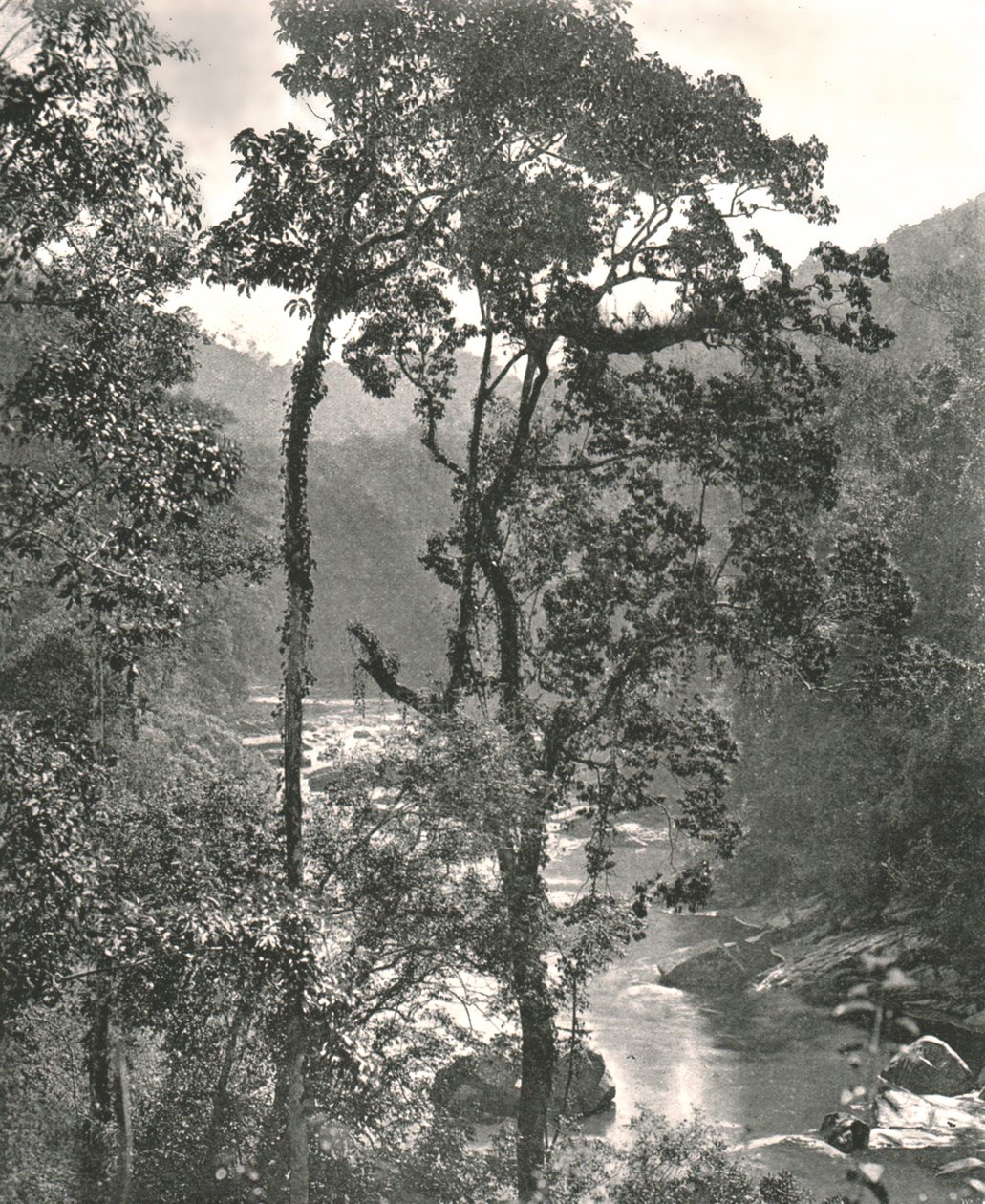 1895年，锡兰库鲁内加拉（Kelunegala）凯拉尼河（Kelani River）风景。 作者 W和S有限公司