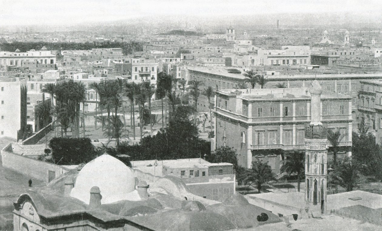 1895年，埃及亚历山大市市景。 作者 W和S有限公司