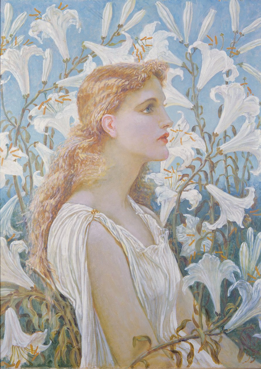 百合，1893年 作者 沃尔特克兰