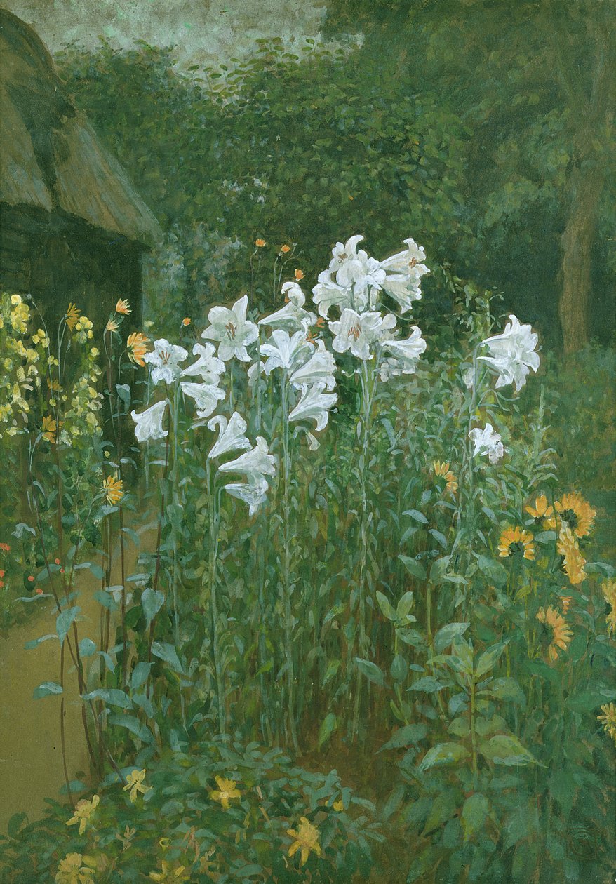 麦当娜百合花园里 作者 沃尔特克兰