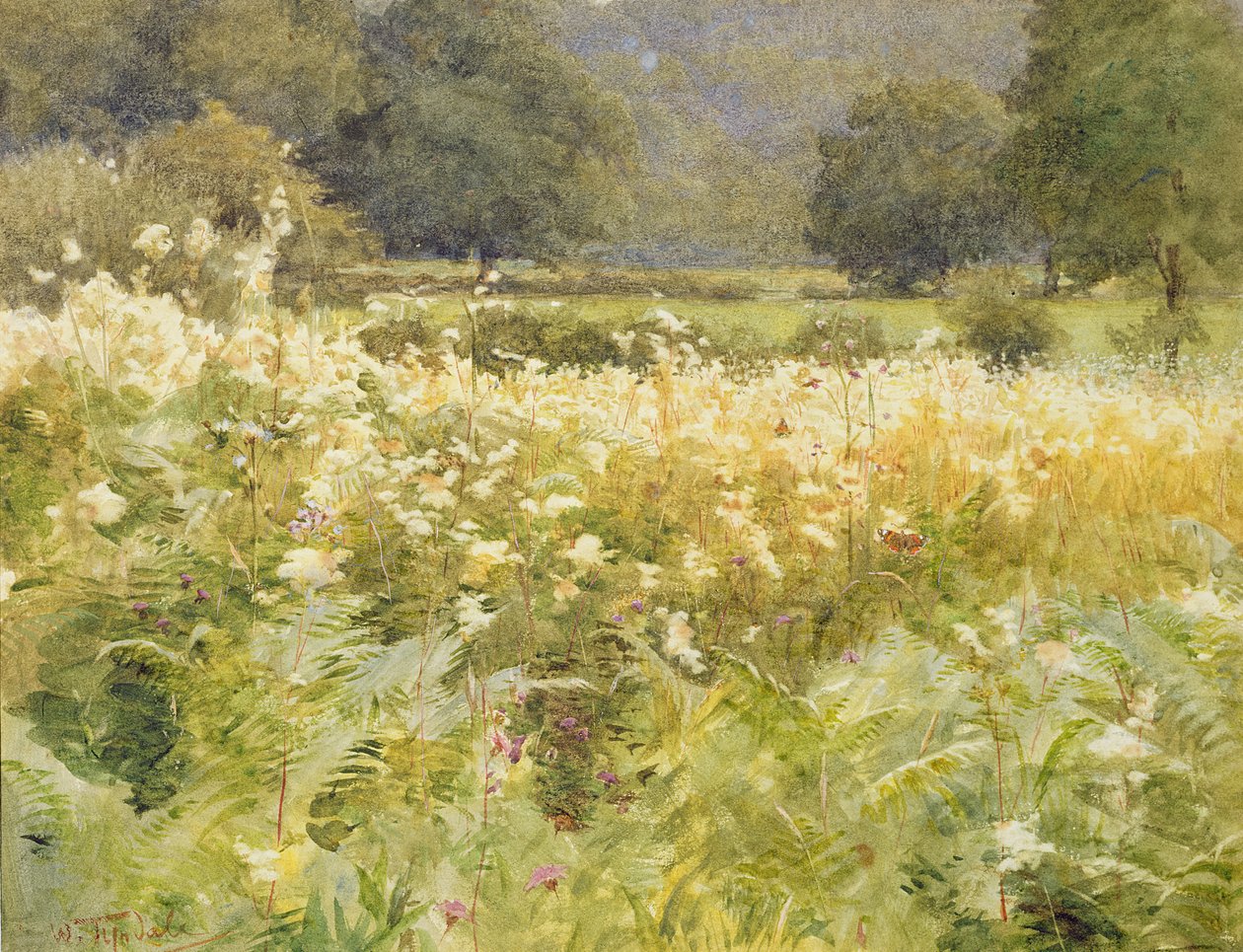 Meadowsweet（纸上wc） 作者 沃尔特·弗雷德里克·屋顶·廷代尔