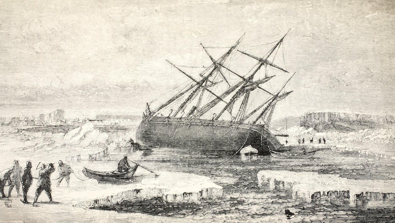1859年在布坎岛附近的岩石上的狐狸 作者 沃尔特·威廉·梅