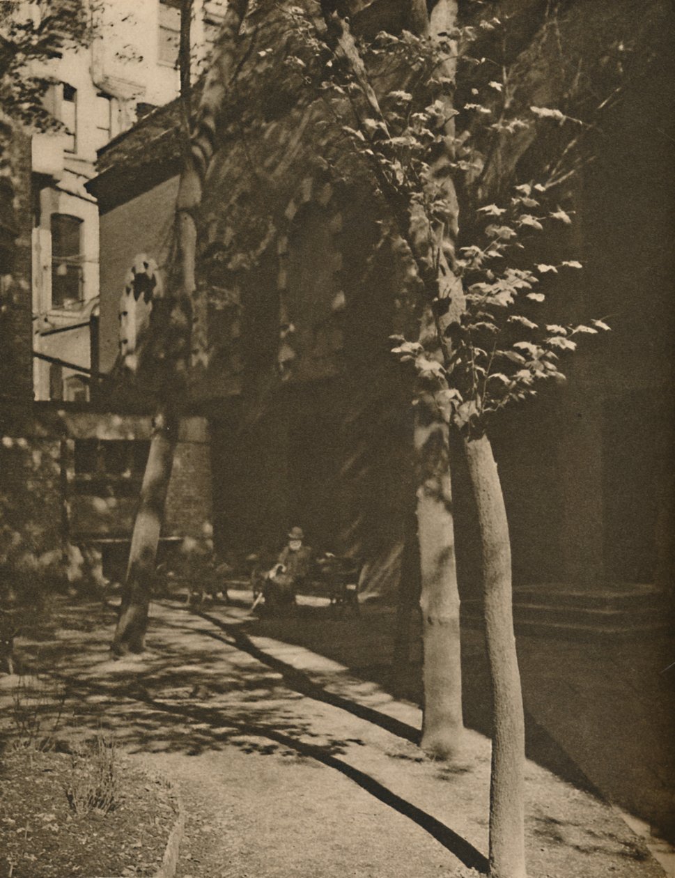 伦敦中央咆哮声中的静Pool水池，建于1935年。 作者 沃尔特·贝宁顿