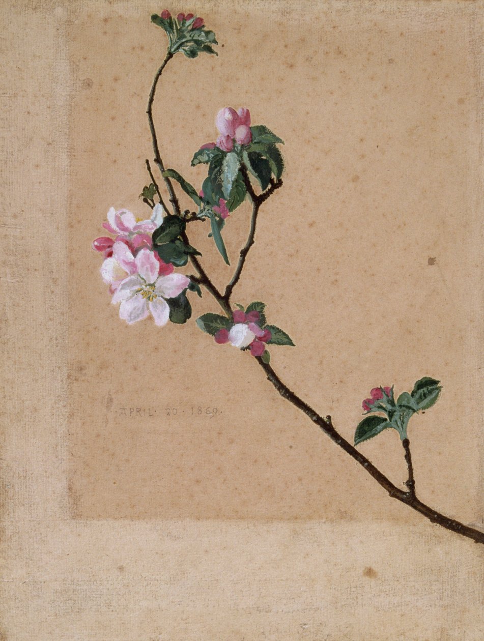 苹果花》，1869年 作者 沃尔特克兰