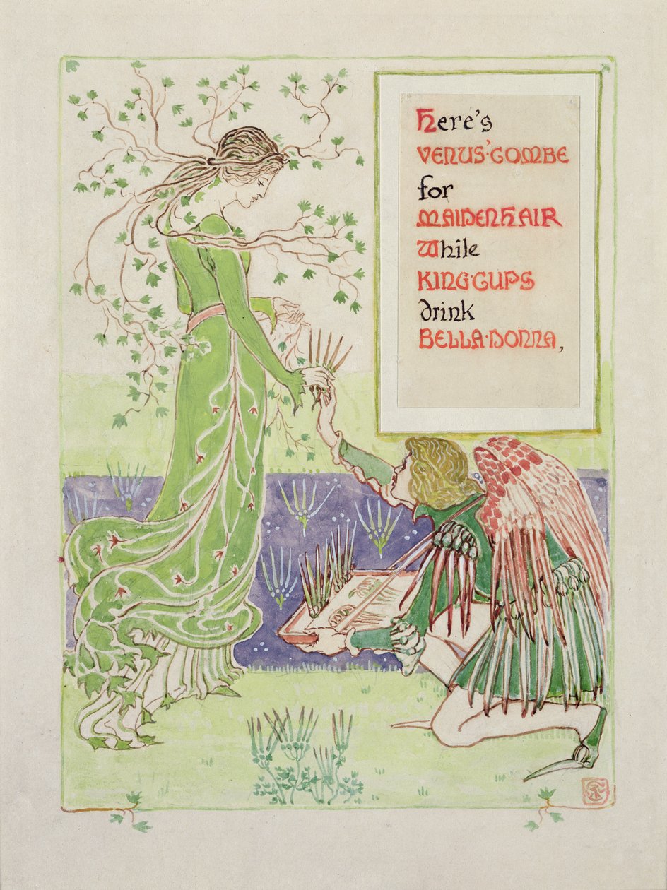 这是维纳斯的Combe for Maidenhair，1899年（铅笔和纸上写的） 作者 沃尔特克兰