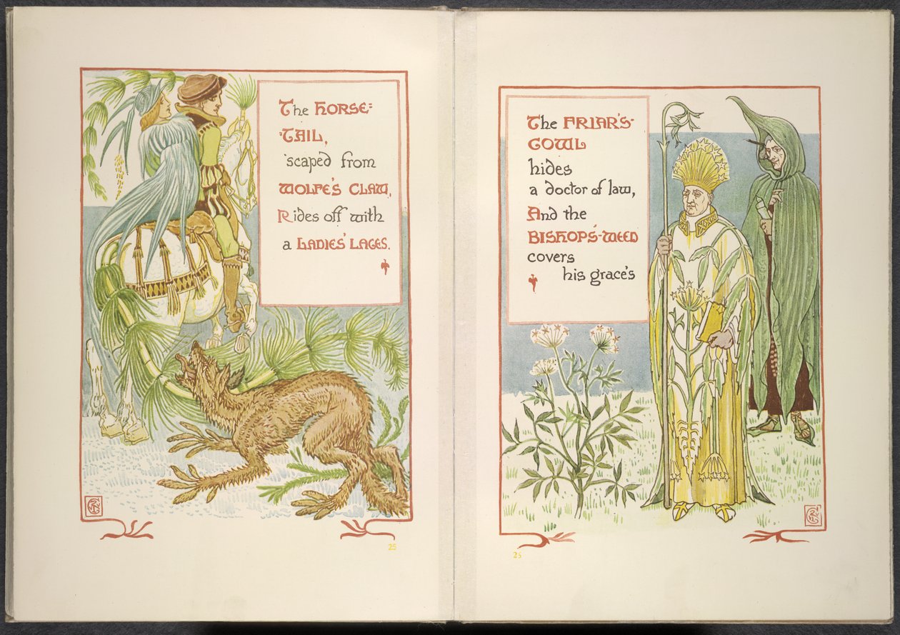 Horse tail and friar
