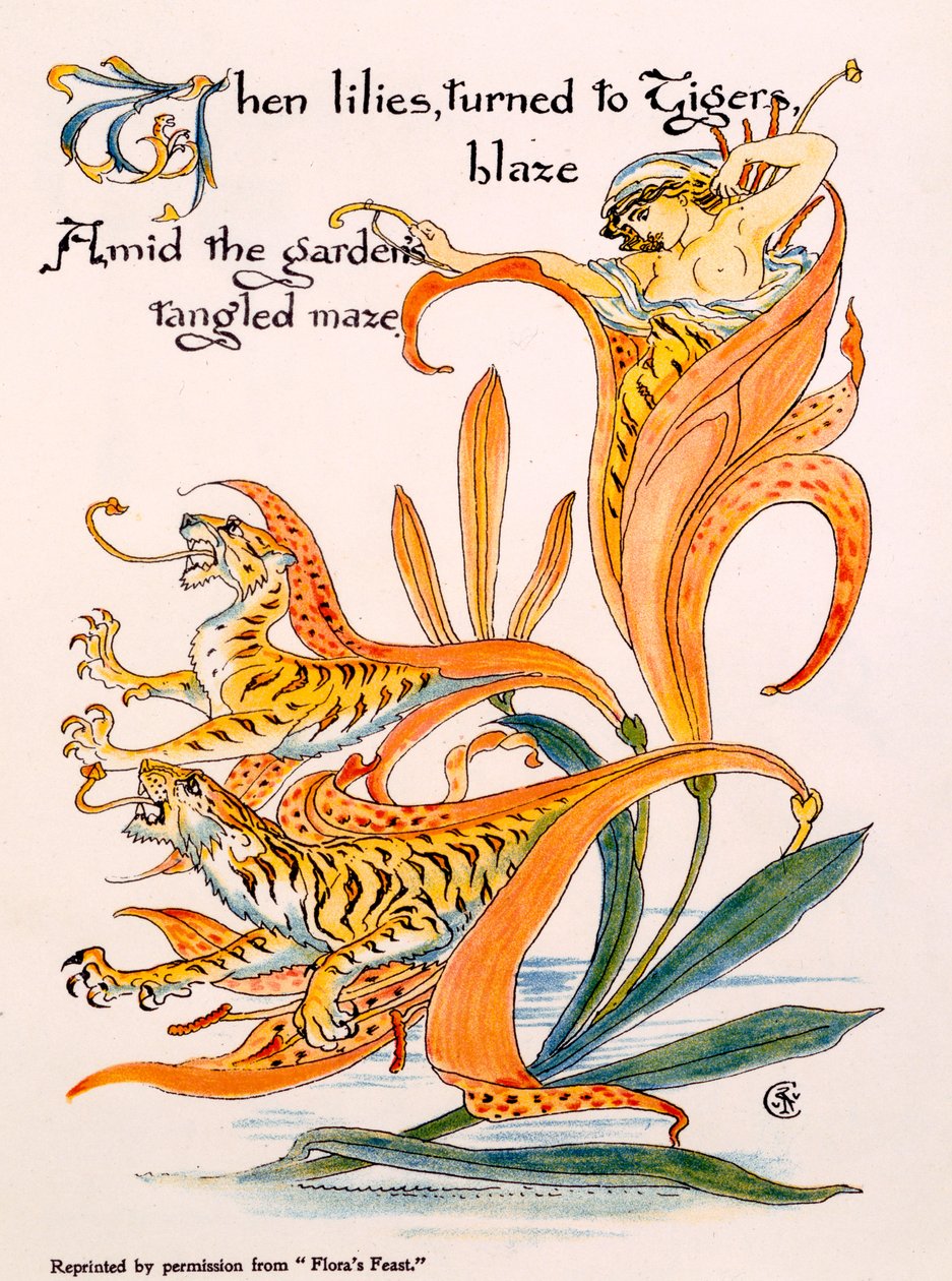 虎百合，来自Walter Crane的&39;Flora&39;s Feast&39;的插图，首次出版于1889年 作者 沃尔特克兰
