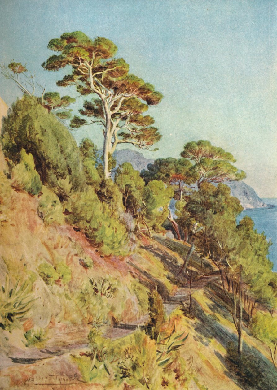 1912年，塞斯特里·莱万特（Sestri Levante）在别墅里 作者 沃尔特·弗雷德里克·屋顶·廷代尔