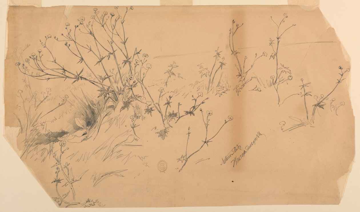 自然研究 作者 沃尔特·斯劳（Walter Shirlaw）