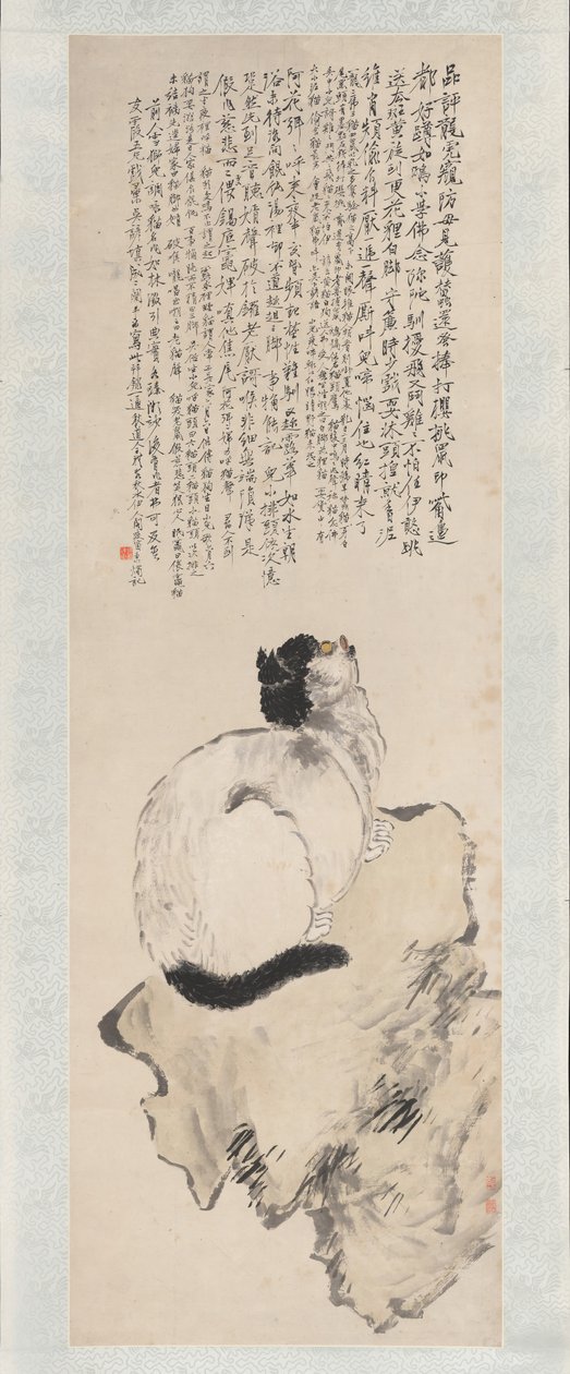 猫。 作者 王丽