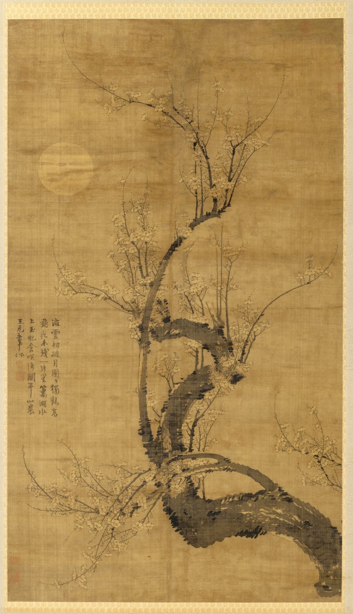 月光下的梅花 作者 王绵
