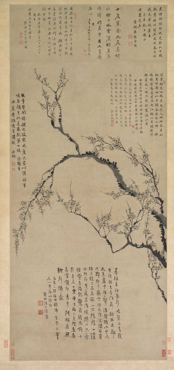 梅花 作者 王士深