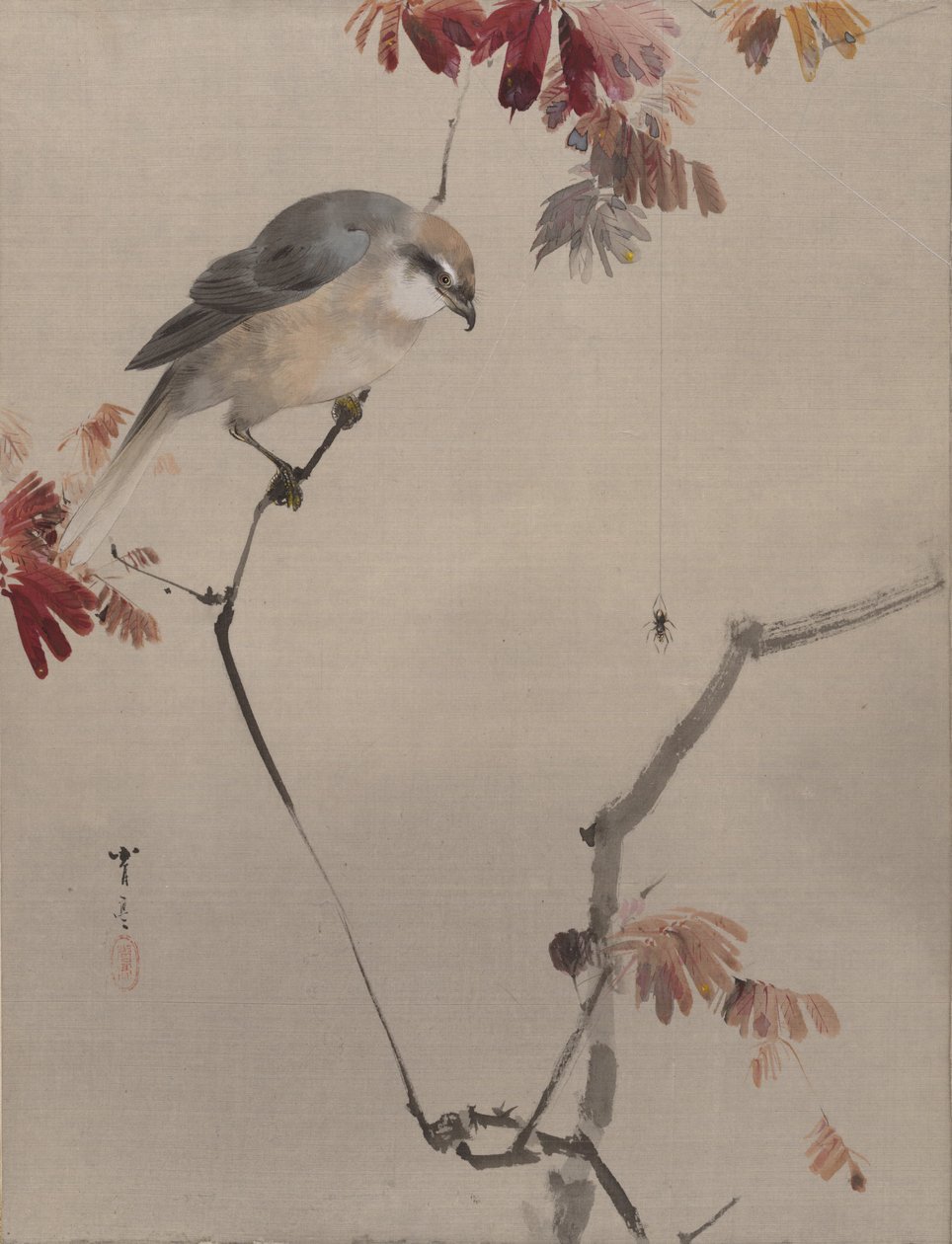 鸟在树枝上看蜘蛛，ca。 1887年。 作者 渡边页伊