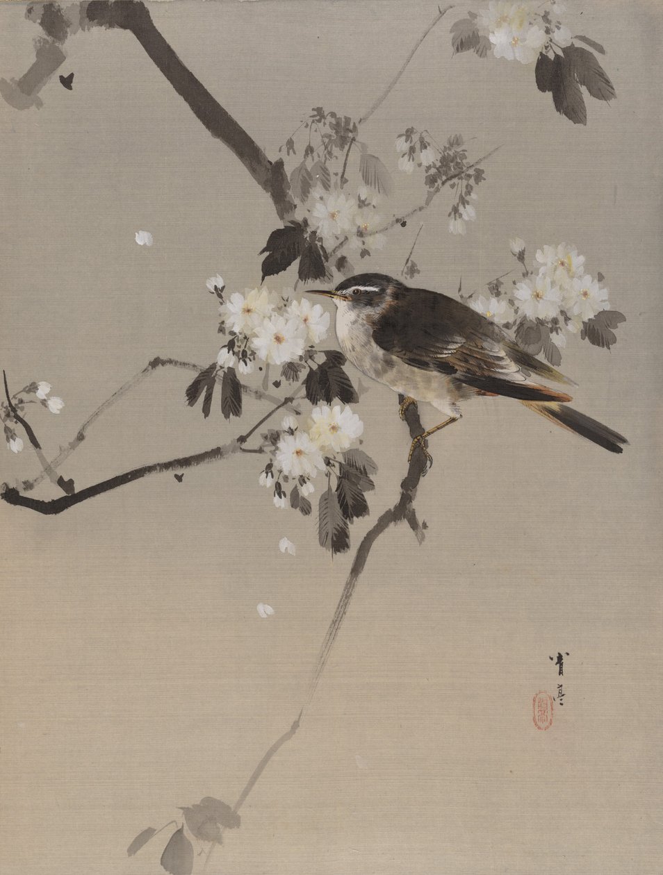 花枝上的鸟，约1887年。 作者 渡边页伊
