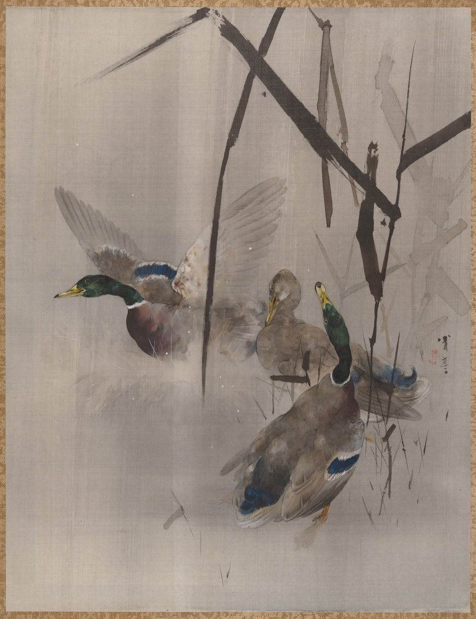 鸭子在仓促，ca。 1887年。 作者 渡边页伊