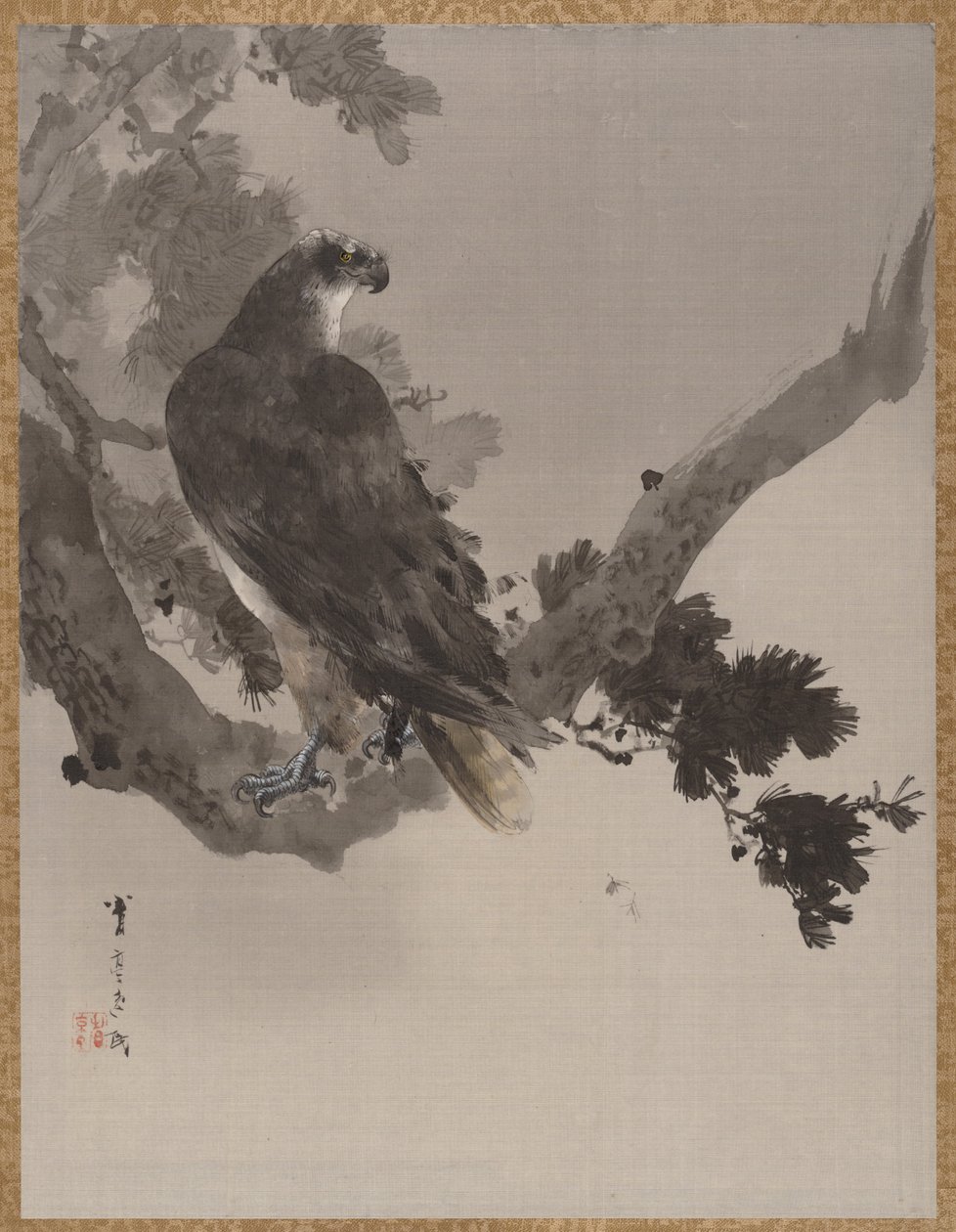 鹰在树上，约。 1887年。 作者 渡边页伊