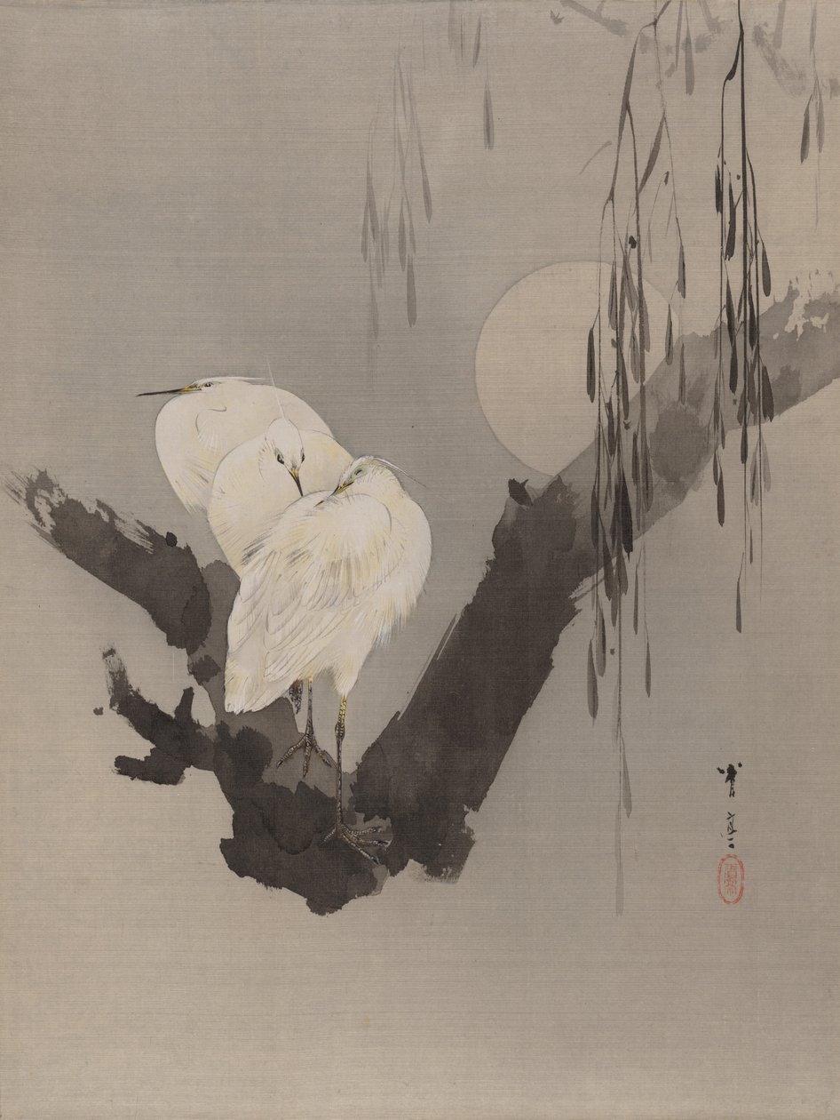 一棵树的白鹭在晚上，ca。 1887年。 作者 渡边页伊