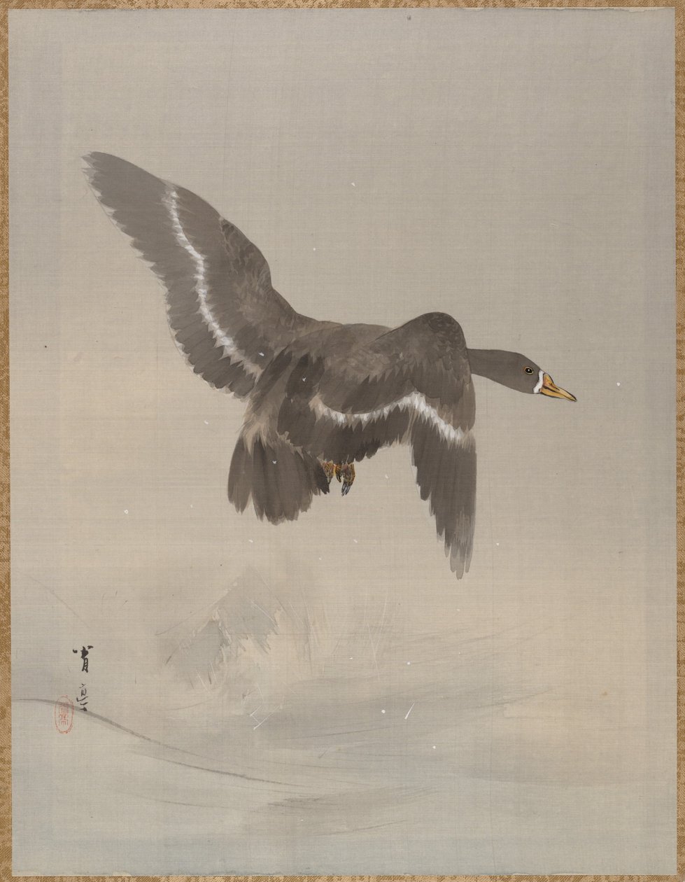 飞鹅，约1887年。 作者 渡边页伊