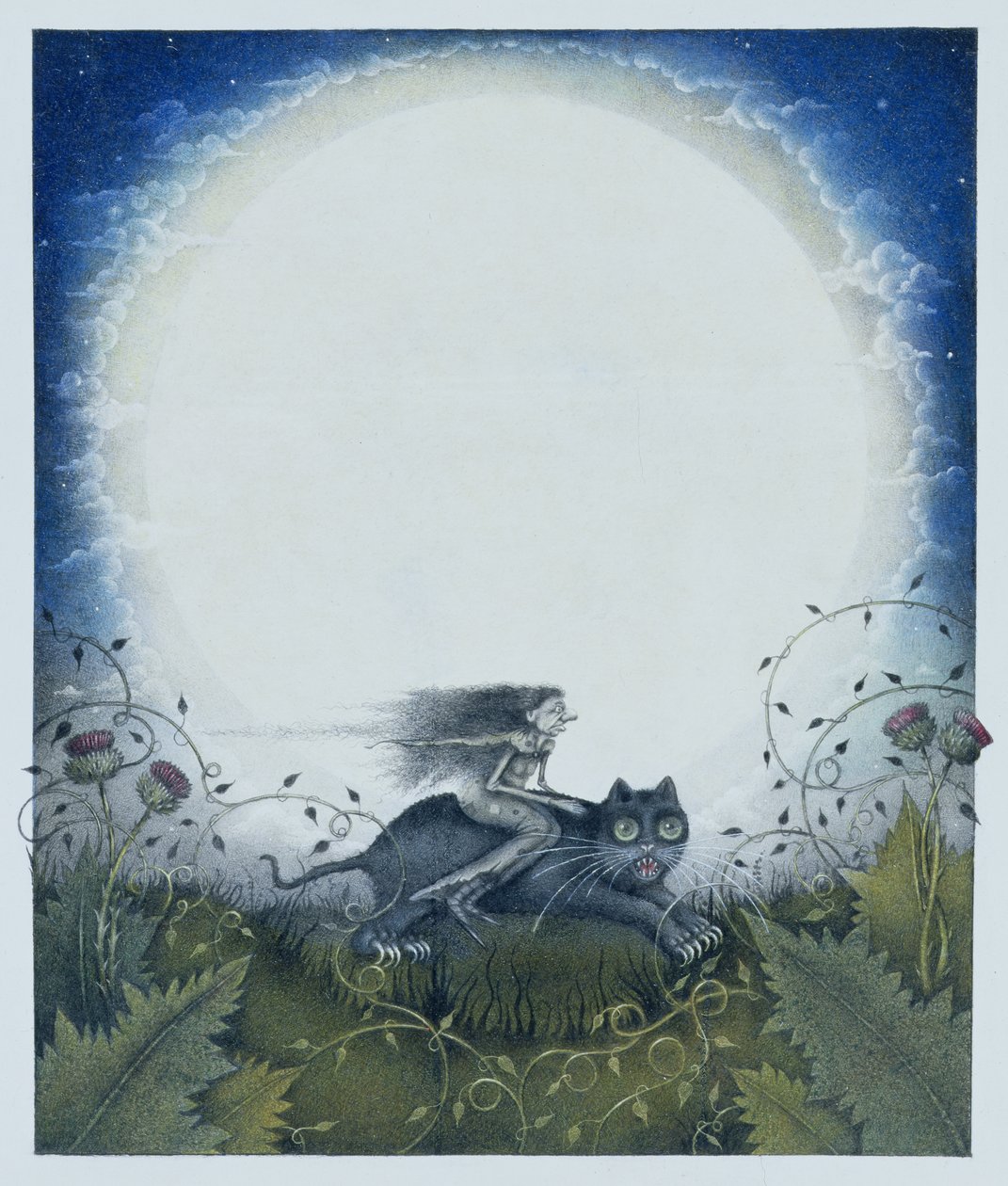 骑着黑猫的苏格兰女巫（纸上铅笔和彩色蜡笔） 作者 韦恩·安德森