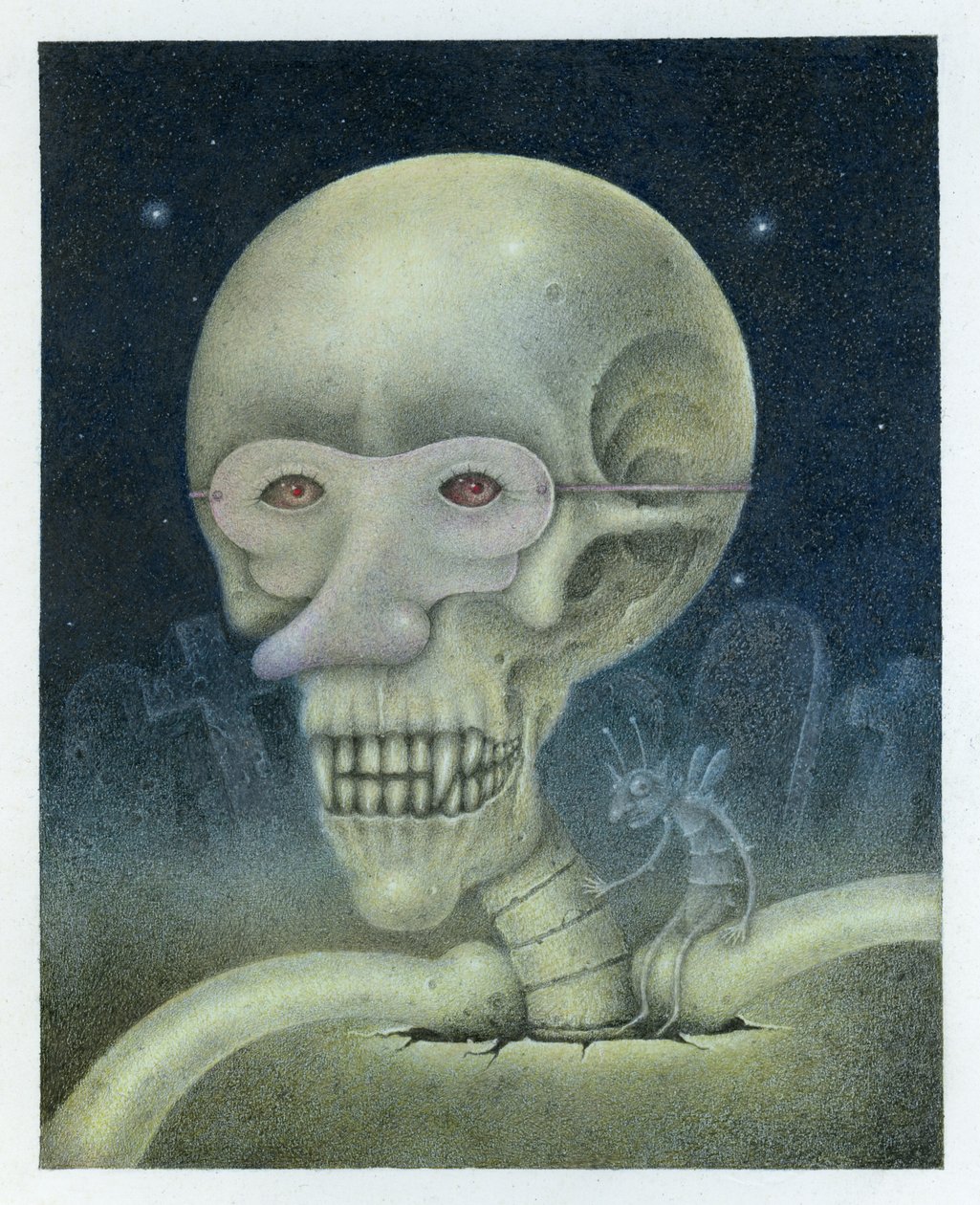 Skellybones 和 Grubsteak 作者 韦恩·安德森