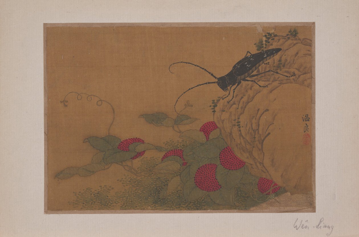 岩石上的蚱蜢，15世纪。 作者 文亮