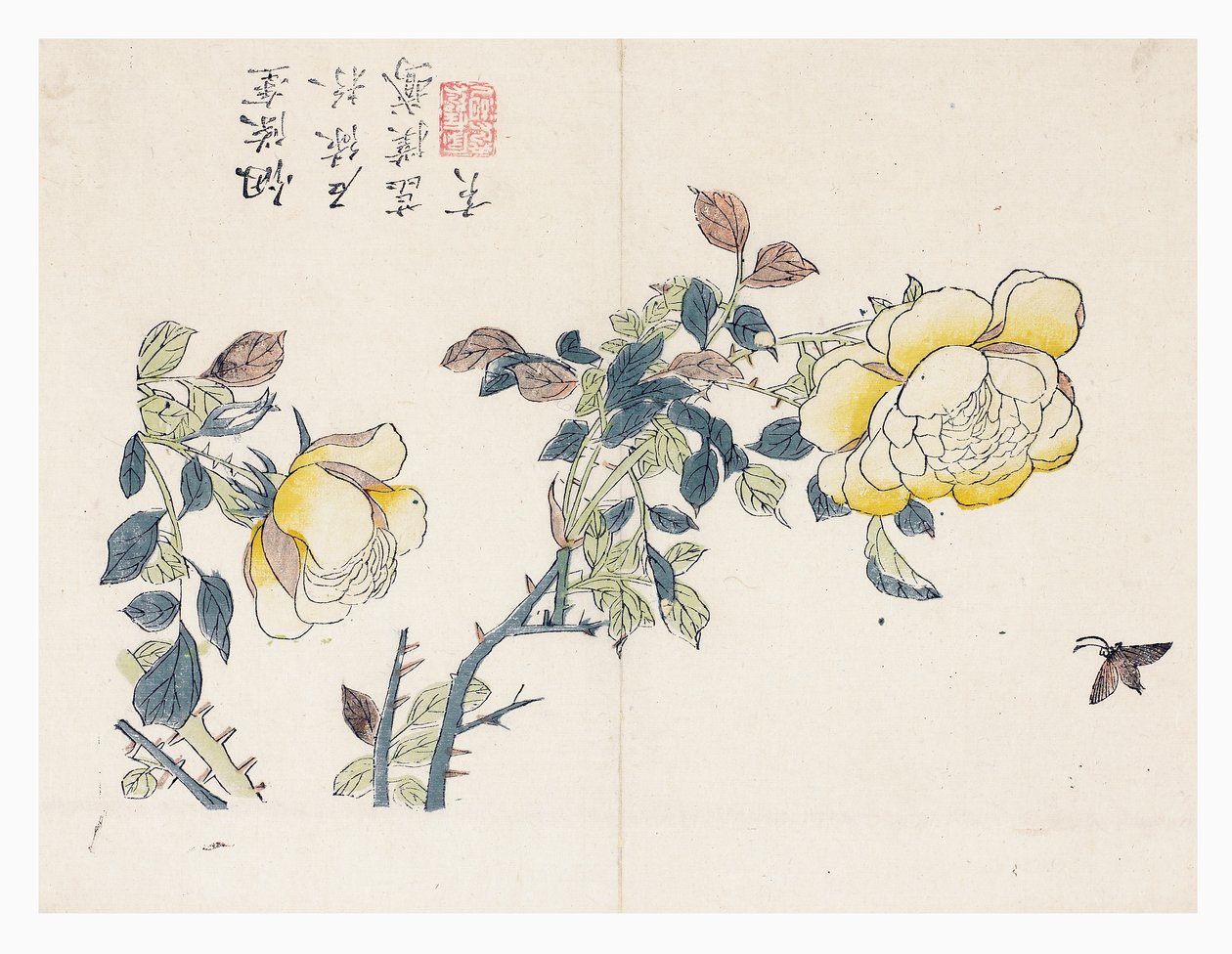 芥菜籽园 作者 文殊超