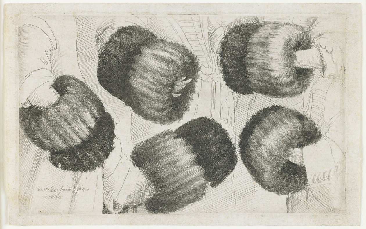 五个视图中的一个Muff，1645-1646 作者 瓦茨劳斯·霍拉尔