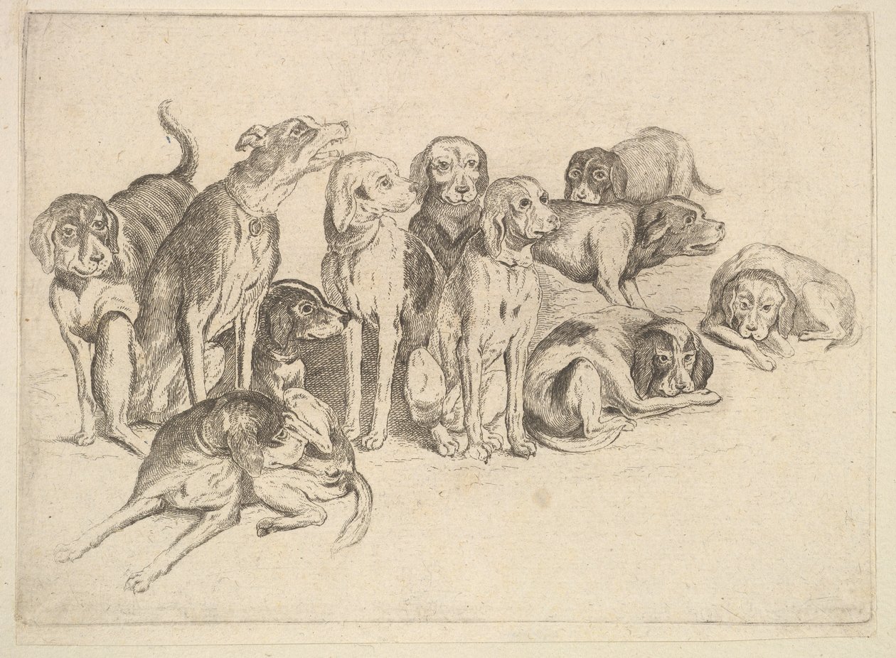 十一猎犬，1625-77年。 作者 瓦茨劳斯·霍拉尔