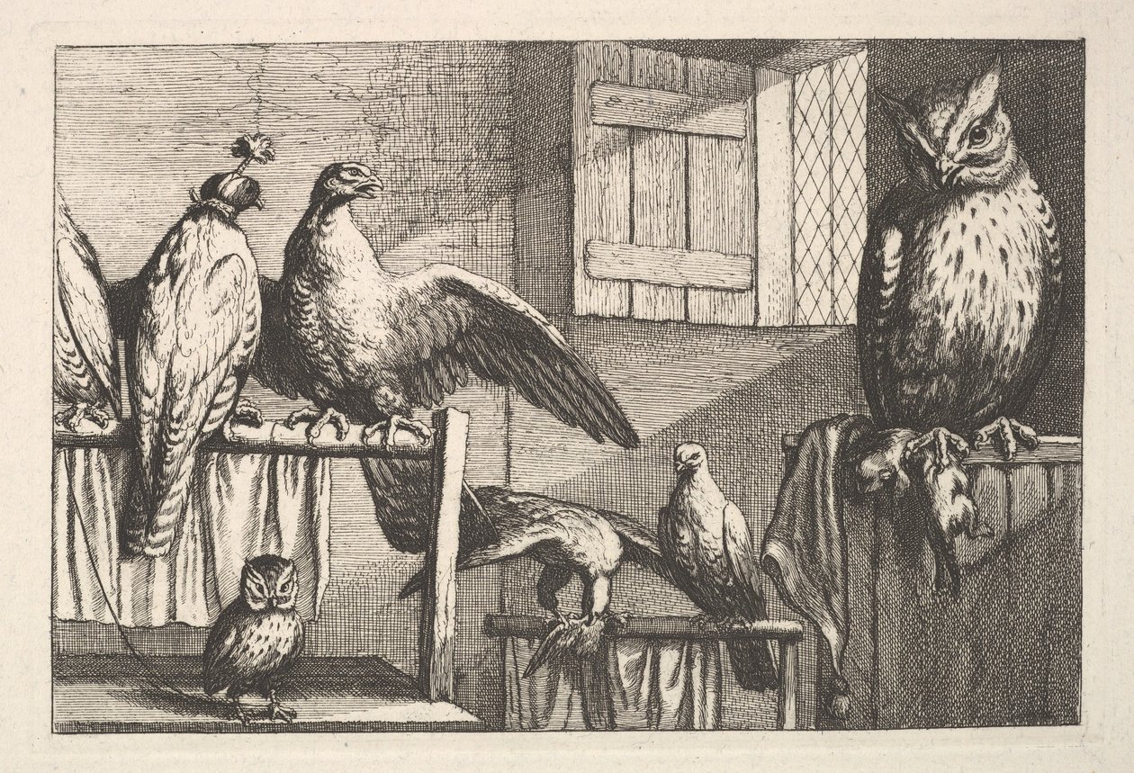 鹰和猫头鹰，1625-77。 作者 瓦茨劳斯·霍拉尔