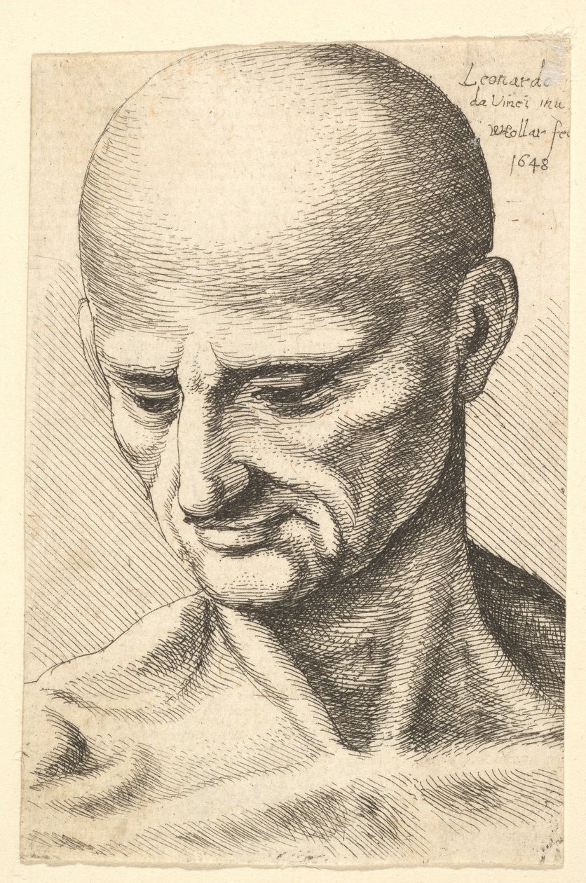 一个秃头的、有筋骨的男人的头朝下看，1648年。 作者 瓦茨劳斯·霍拉尔
