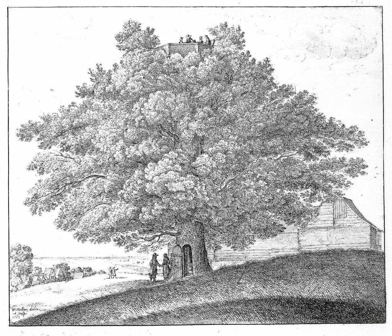在汉普斯特德的空心树，1663年 作者 瓦茨劳斯·霍拉尔