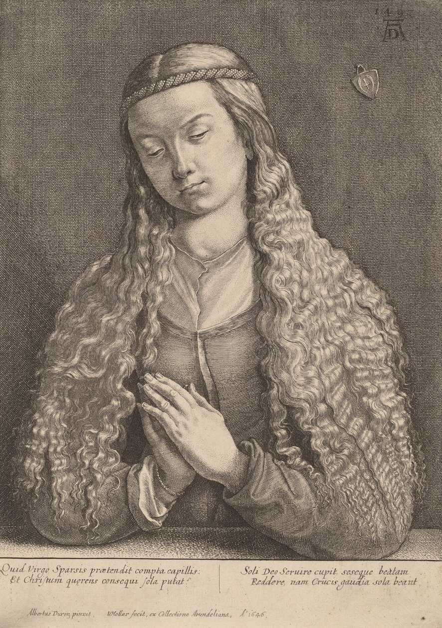 凯瑟琳-弗莱格林，1646年。 作者 瓦茨劳斯·霍拉尔