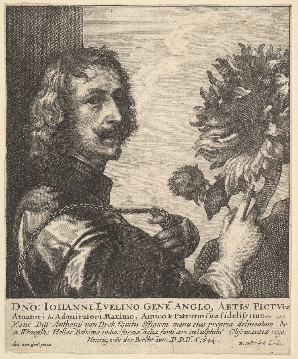 安东尼·范·戴克爵士（Sir Anthony Van Dyck）带着向日葵，1644年。 作者 瓦茨劳斯·霍拉尔