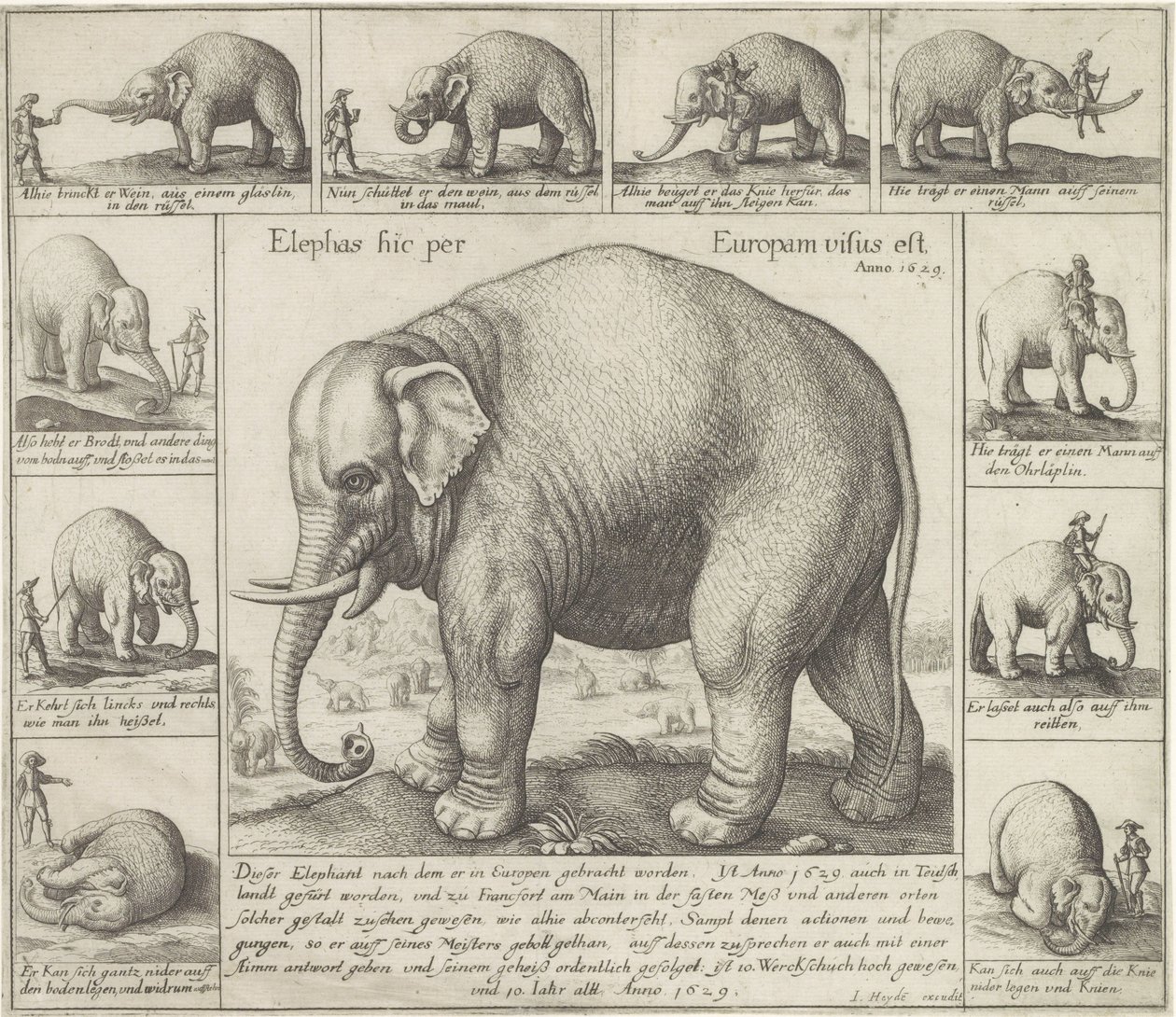 Tamme olifant
Elephas hic per Europam visus est（标题为实物） 作者 瓦茨劳斯·霍拉尔