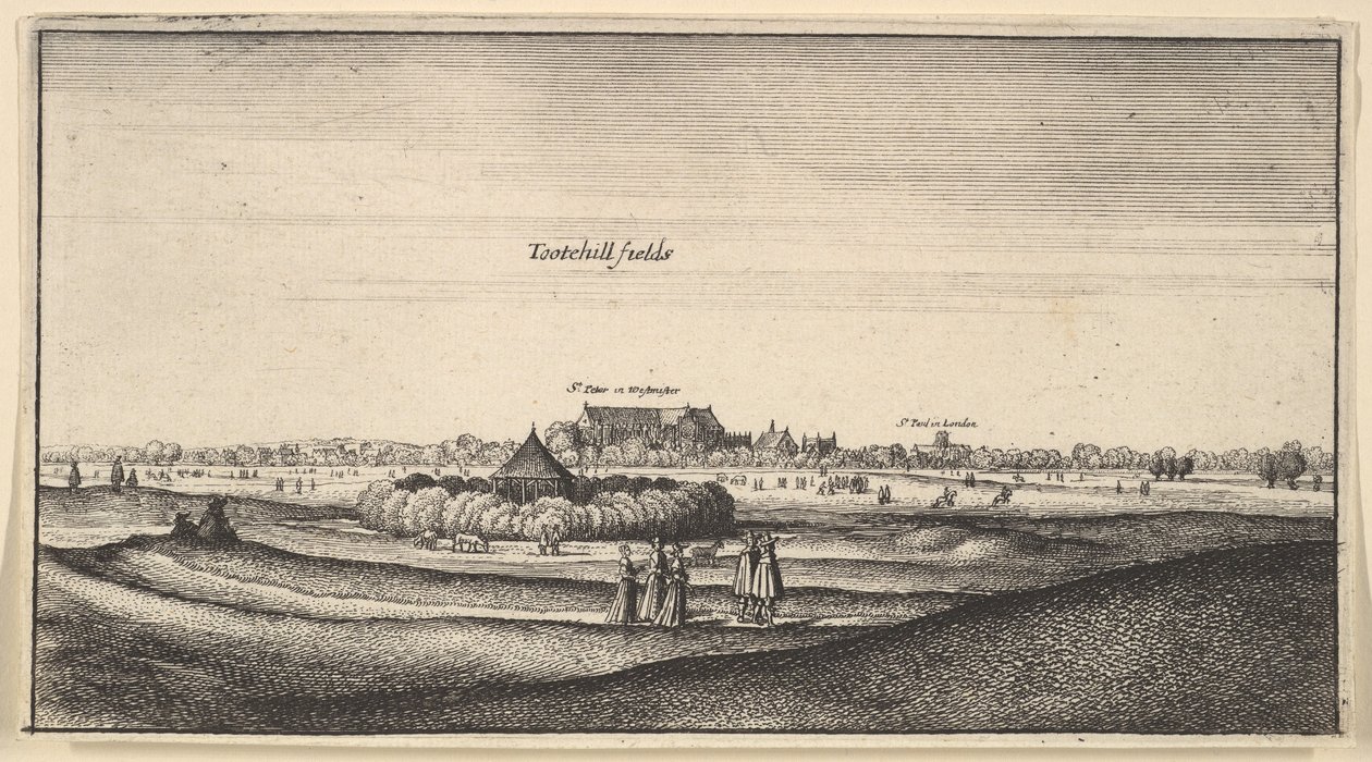 Tootehill字段几个地方...一个非常愉快的前景，1625年至1677年。 作者 瓦茨劳斯·霍拉尔