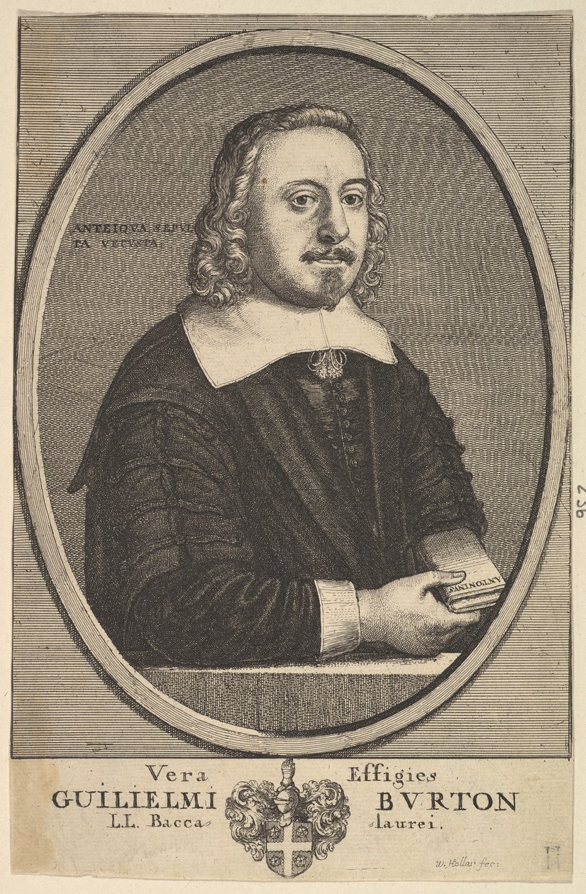 薇拉肖像（Guelaelmi Burton LL Baccalaurei），1657-58。 作者 瓦茨劳斯·霍拉尔